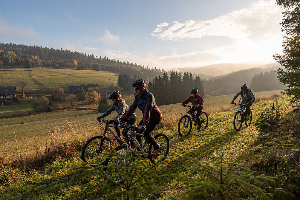 Fahrradfahrer fahren über eine Wiese. Im Hintergrund hügelige Wald- und Wiesenlandschaft.