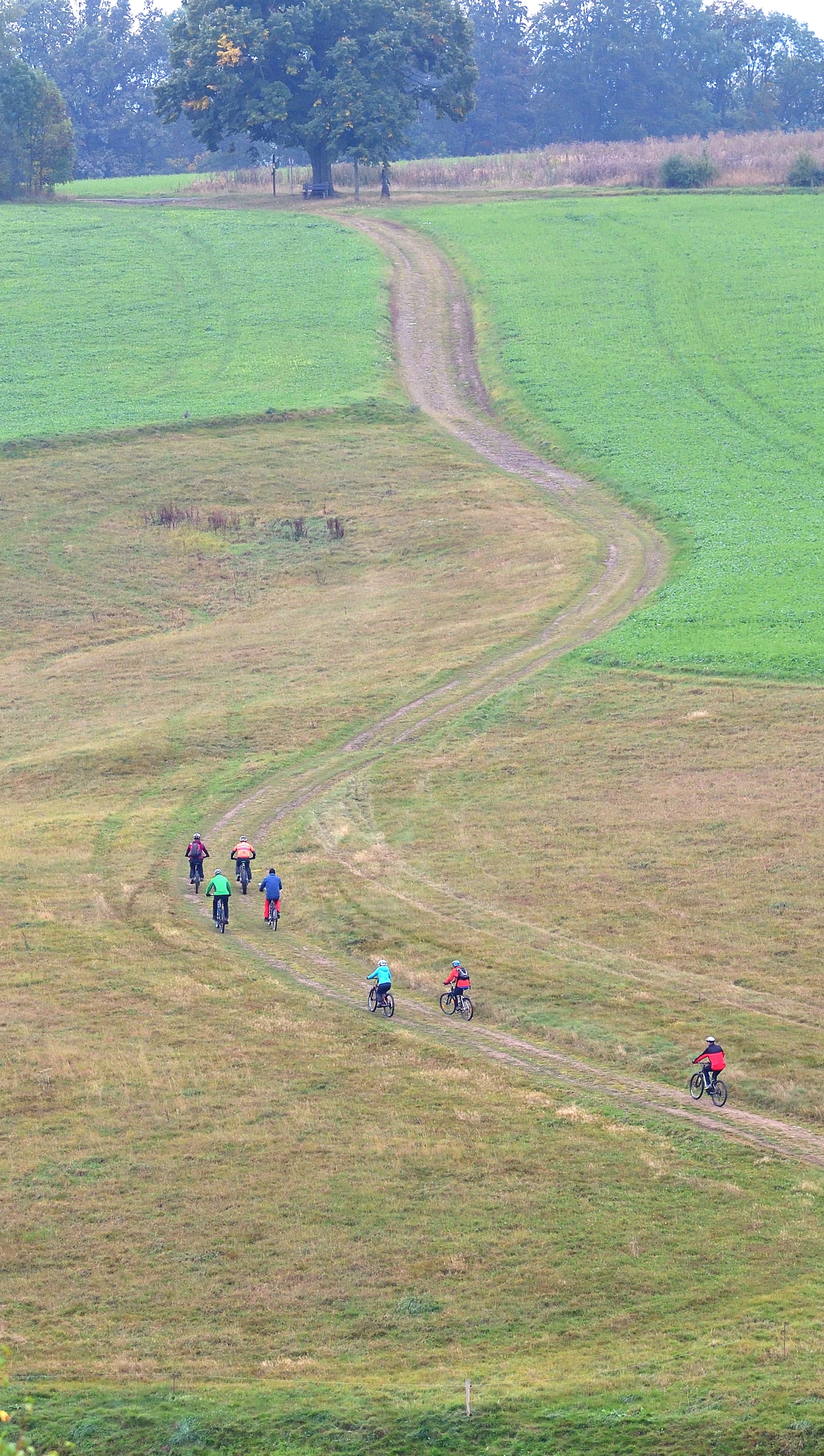 Fahrradfahrer, die einen Berg auf einer Wiese hochfahren. 