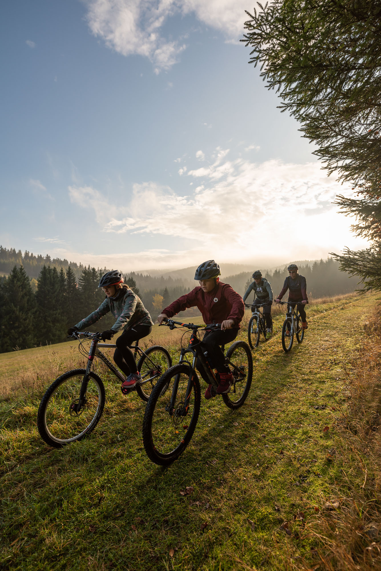 Vier Fahrradfahrer auf einer Wiese, im Hintergrund Wald und Wiese. 