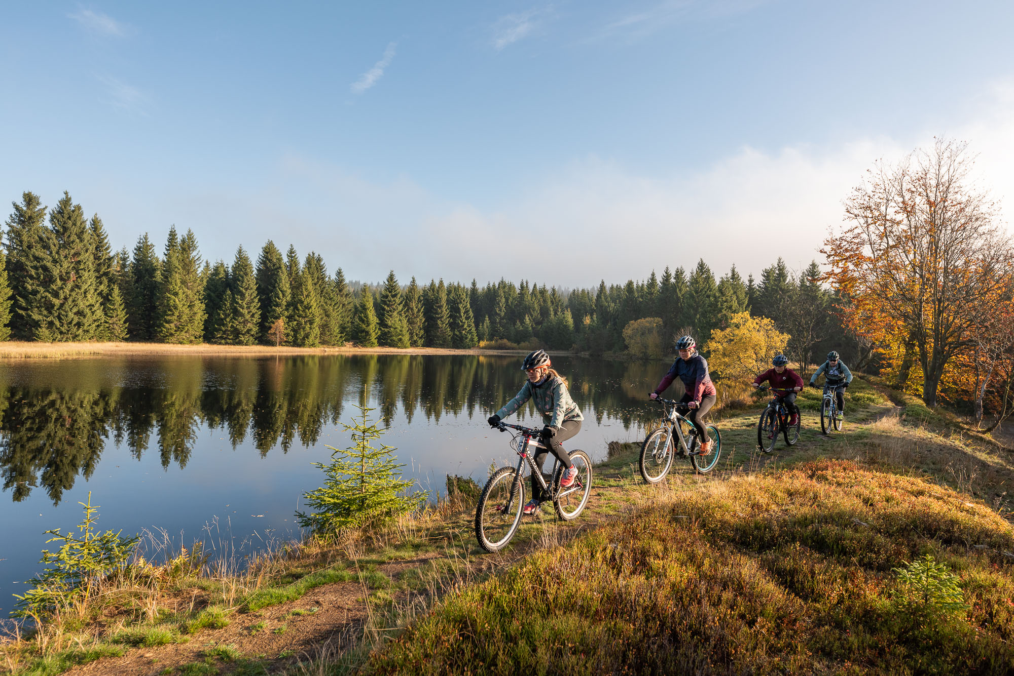 See mit Wald und im Vordergrund Fahrradfahrer. 