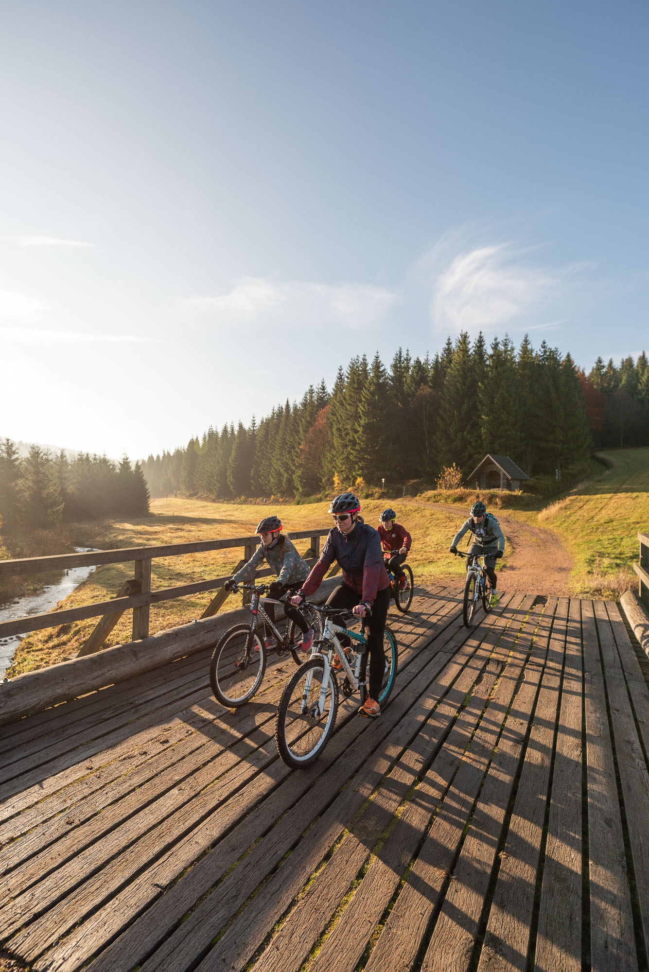 Blockline Wald- und Wiesenlandschaft im Hintergrund und im Vordergrund fahren Fahrradfahrer über eine Holzbrücke.