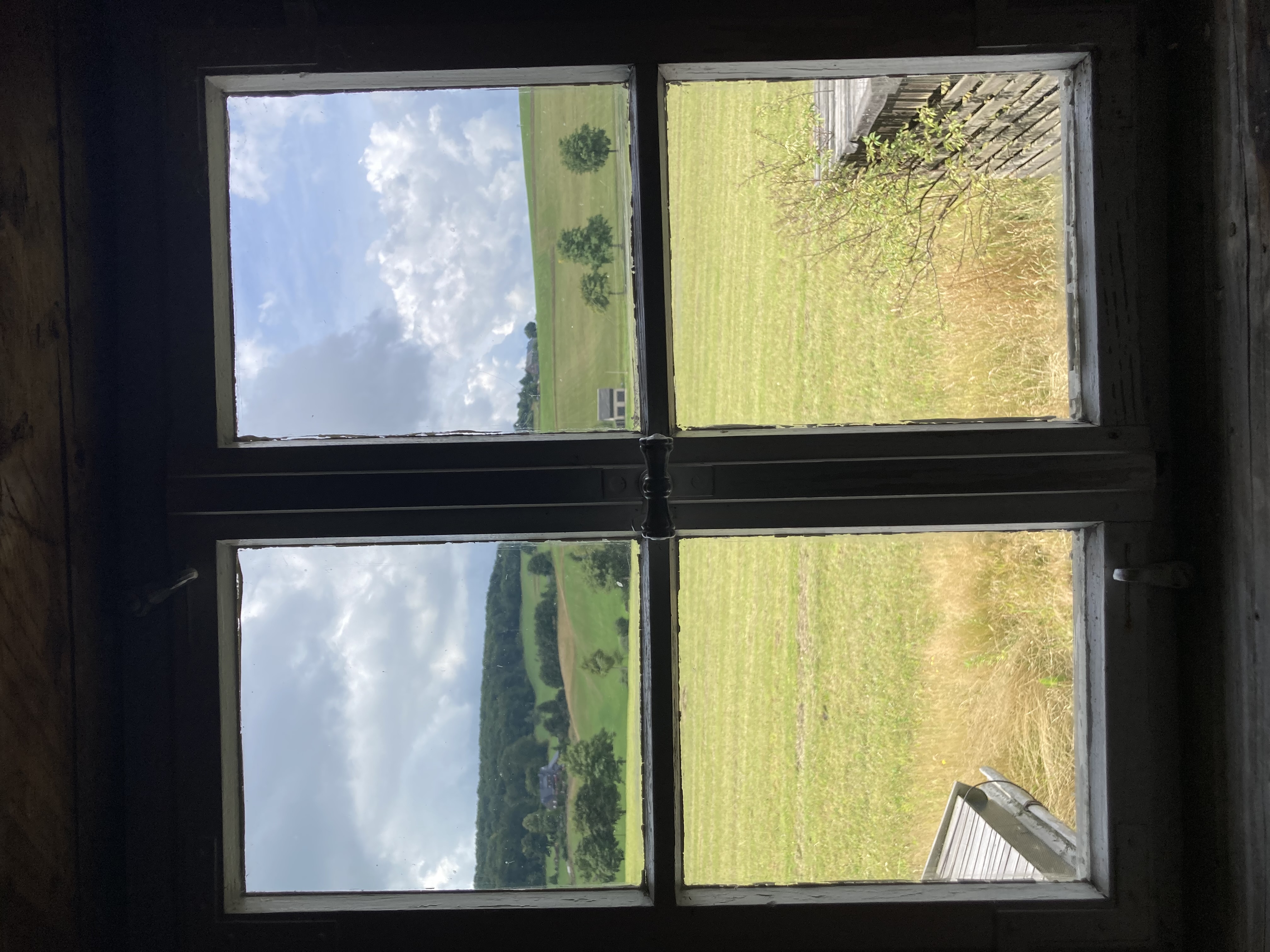 Blick aus einem Fenster auf eine grüne Wiese.