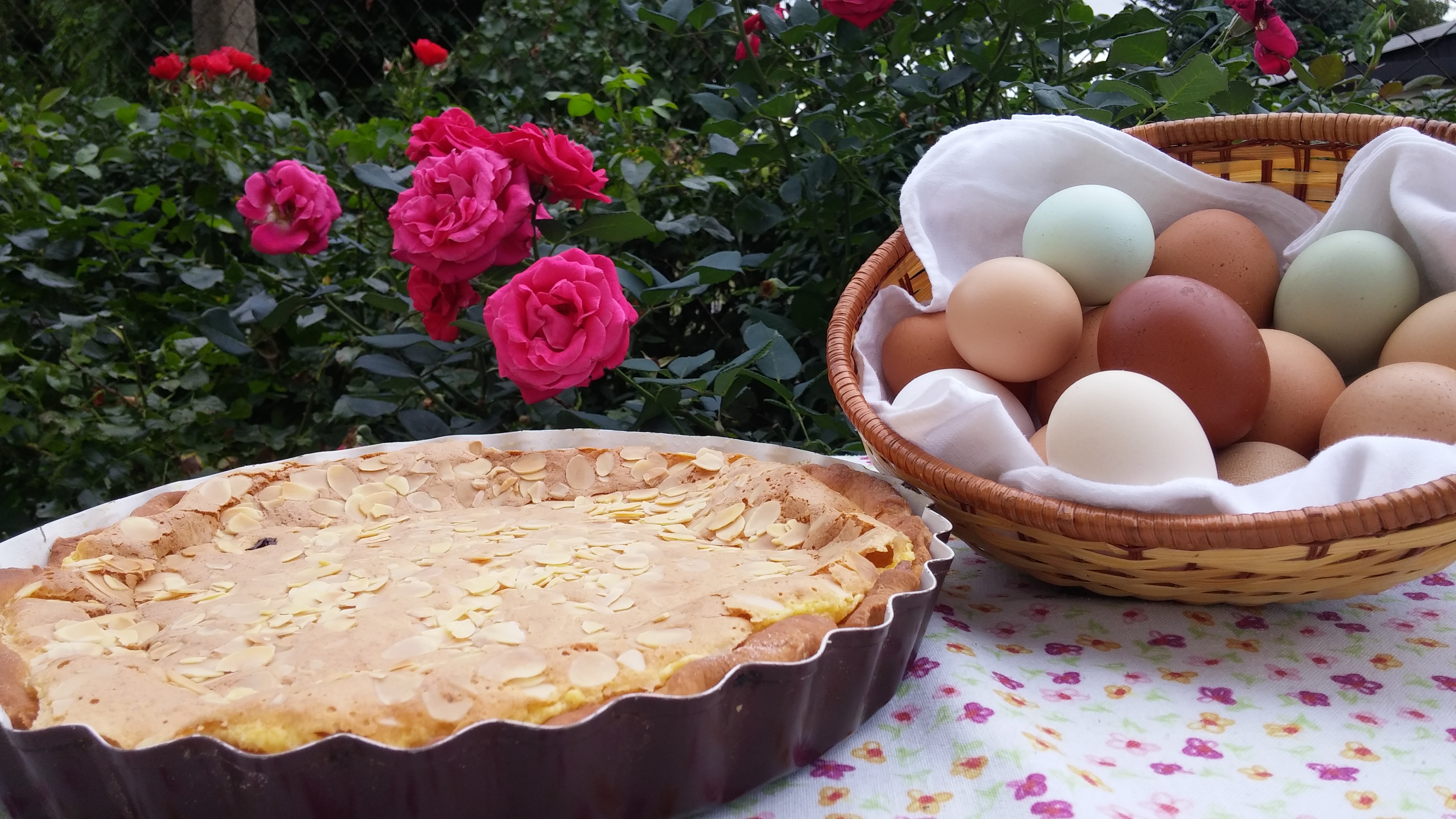 Ein Tisch draußen mit Kuchen und einem Korb voll mit Eiern.