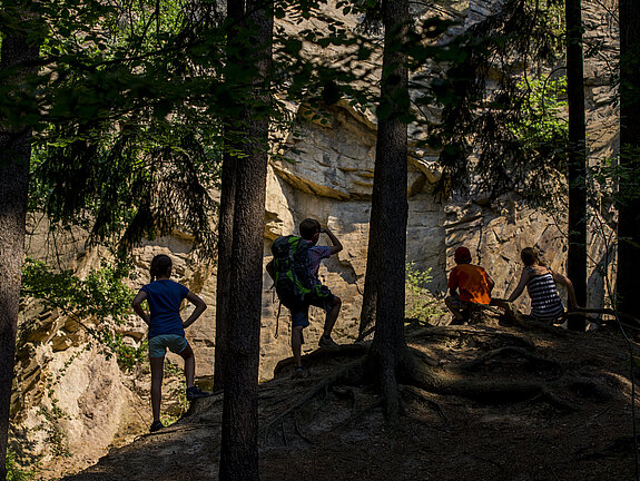 Schattiger Wald mit Wanderern und Felslandschaft im Hintergrund.