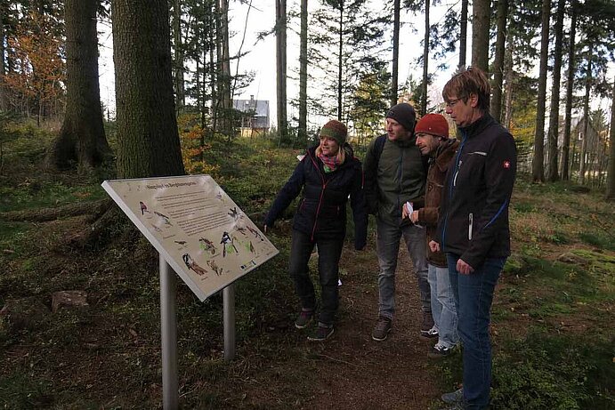 Vier Personen, welche sich ein Erklärungsschild im Wald durchlesen.