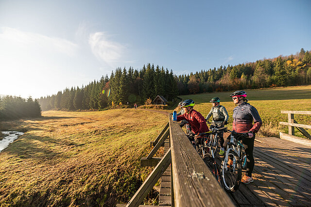 Wald und Feld im Hintergrund und im Vordergrund Radfahrer auf einer Brücke stehend und in der Ferne blickend.