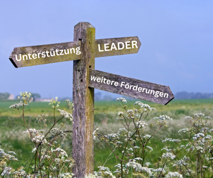 Wegweiser auf einer Wiese.