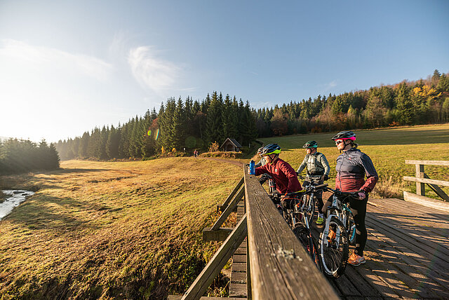 Wald und Wiese im Hintergrund und Fahrradfahrer auf Holzbrücke.