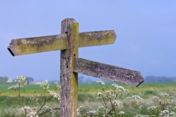Wegweiser mit drei verschiedenen Richtungen