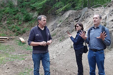 offenes Gelände in einem Wald mit drei diskutierenden Personen